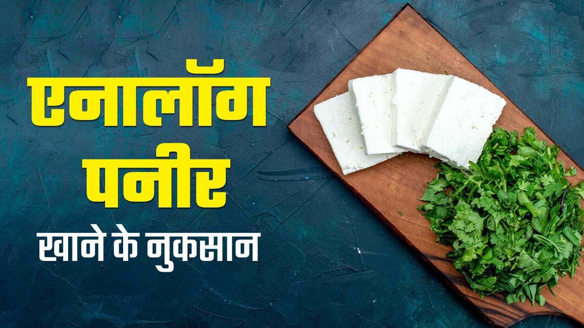 मार्केट में बिक रहा है पाम ऑयल और मिल्क पाउडर से बना नकली पनीर, जानें क्या हो सकते हैं इसे खाने के नुकसान