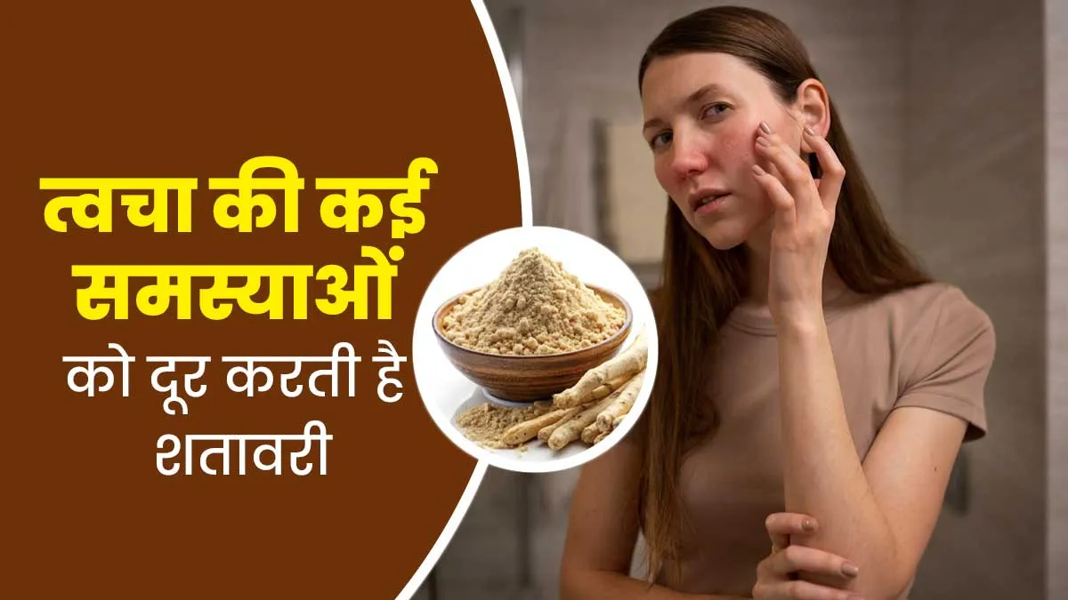त्वचा की कई समस्याओं को दूर करती है शतावरी, जानें इसके फायदे