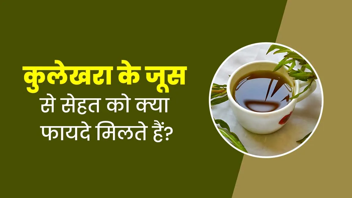 कुलेखरा की पत्तियों का जूस पीने से सेहत को मिलते हैं ये 5 फायदे, जानें बनाने का तरीका