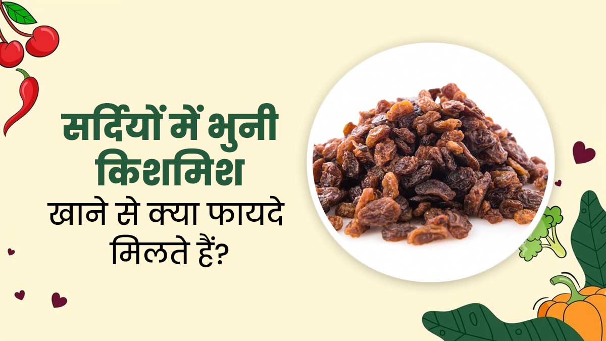 सर्दियों में भुनी हुई किशमिश खाने से मिलते हैं ये 5 फायदे, डाइट में जरूर करें शामिल