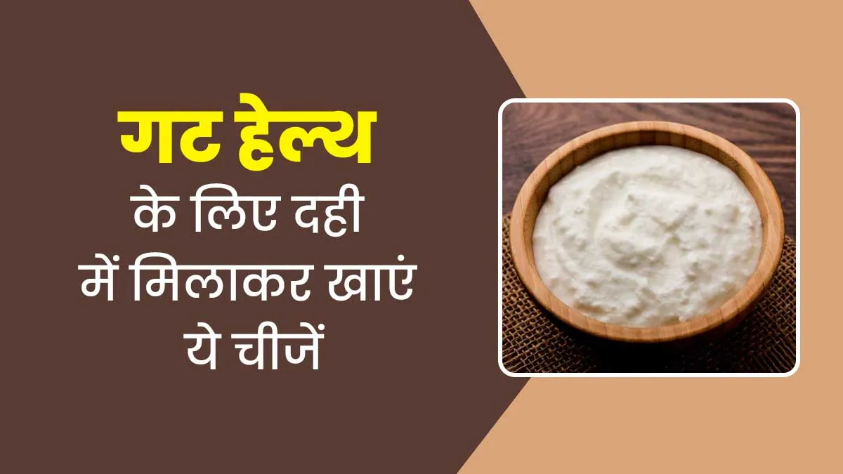 दही में मिलाकर खाएं ये 5 चीजें, गट हेल्थ के लिए होती हैं फायदेमंद