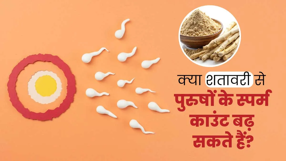 क्या शतावरी से पुरुषों के स्पर्म काउंट बढ़ सकते हैं? डॉक्टर से जानें