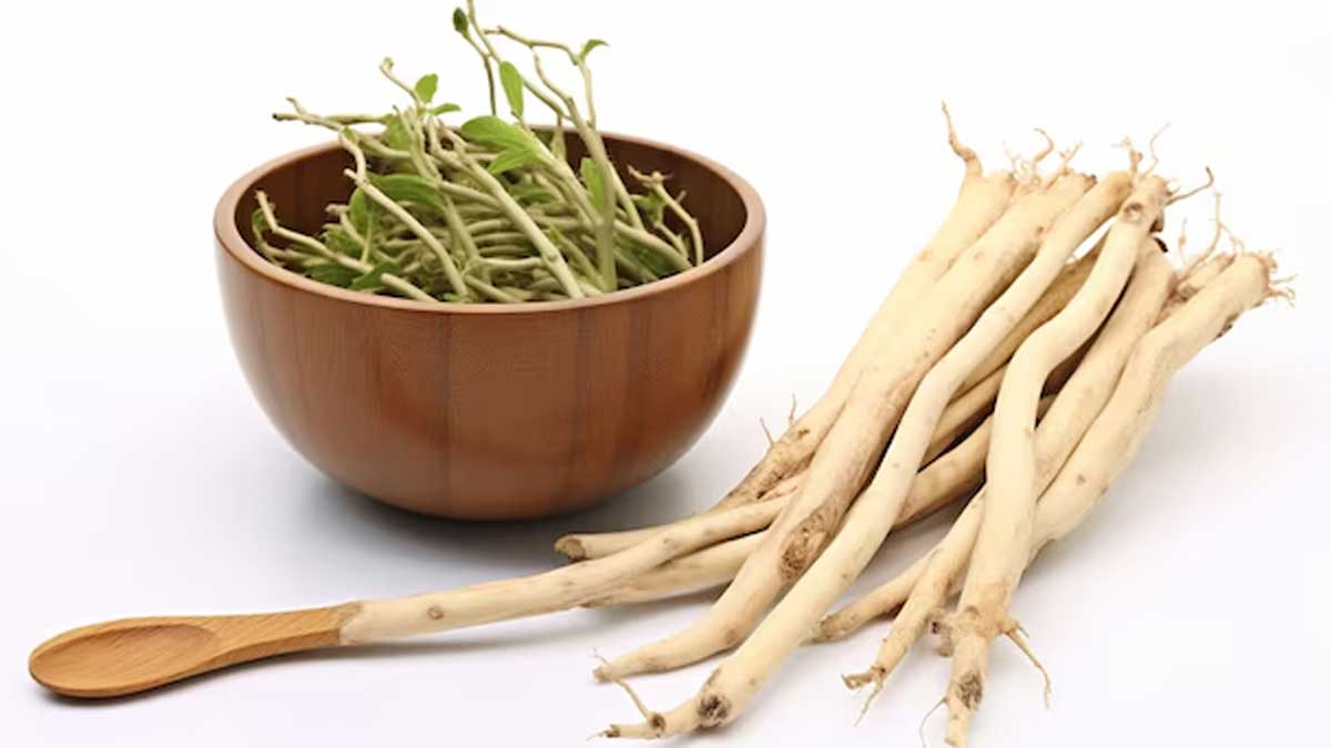 can-shatavari-increase-sperm-count-in