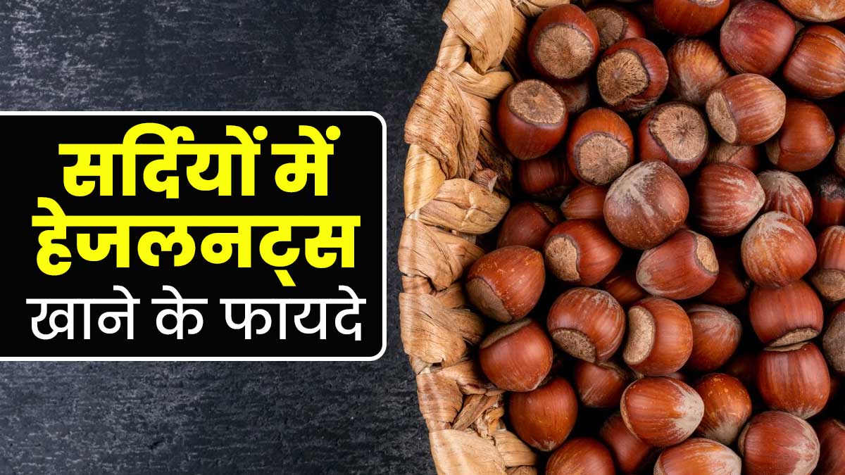सर्दियों में हेजलनट्स खाने से सेहत को मिलते हैं ये 5 फायदे, जानें एक्सपर्ट से