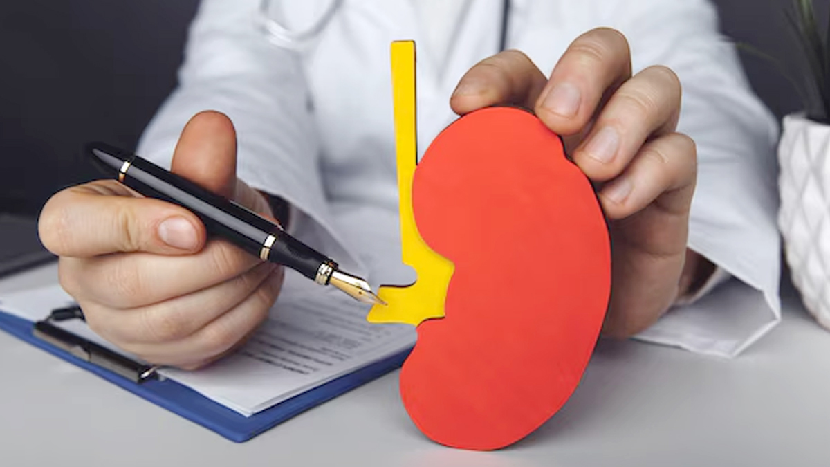 Types Of Kidney Stones