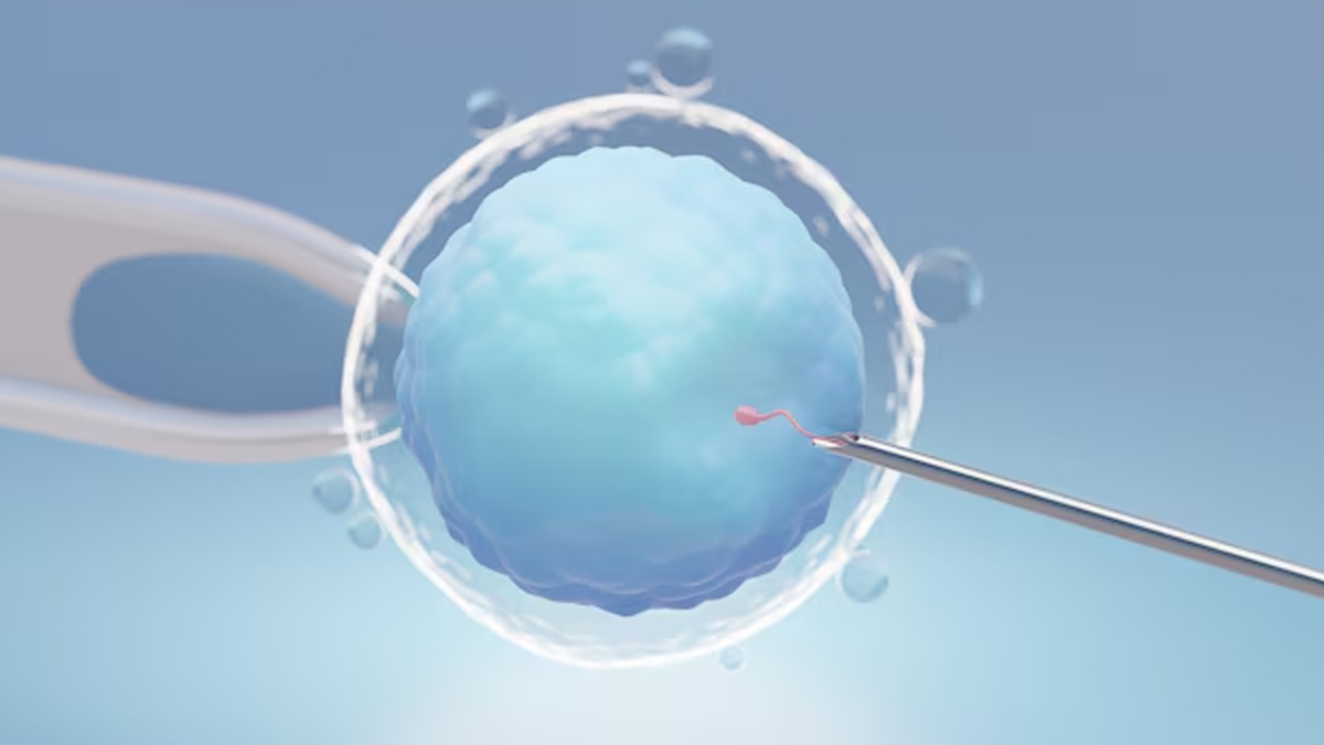 do ivf treatments cause cancer 3