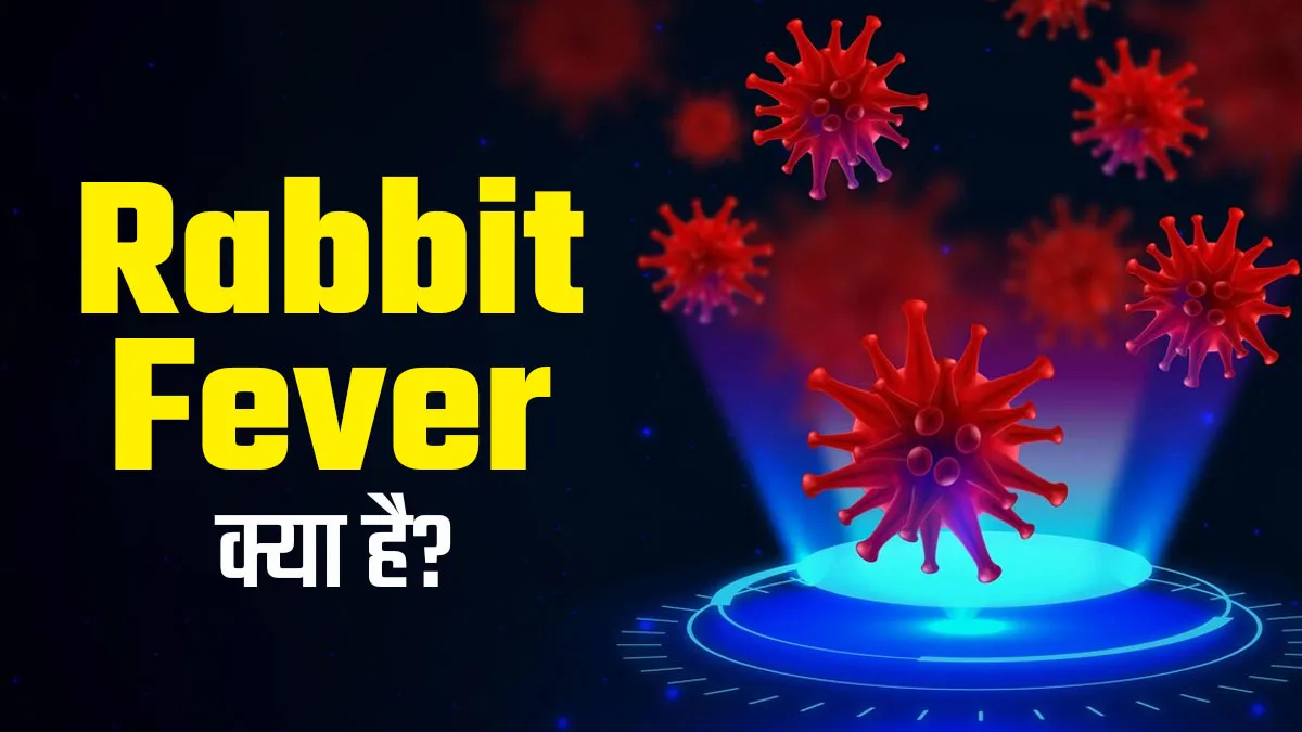 Rabbit Fever: इंसानों में तेजी से फैल रहा है रैबिट फीवर, जानें इस बीमारी के लक्षण और बचाव के तरीके