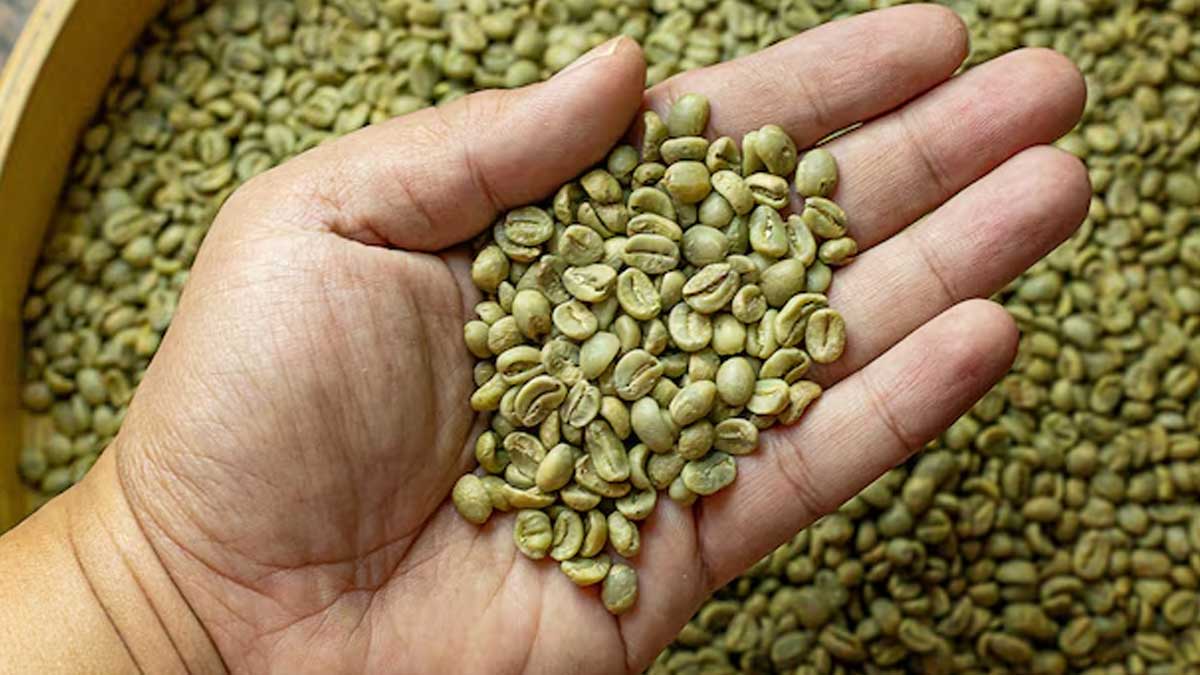 01 - 2025-01-06T192255.087