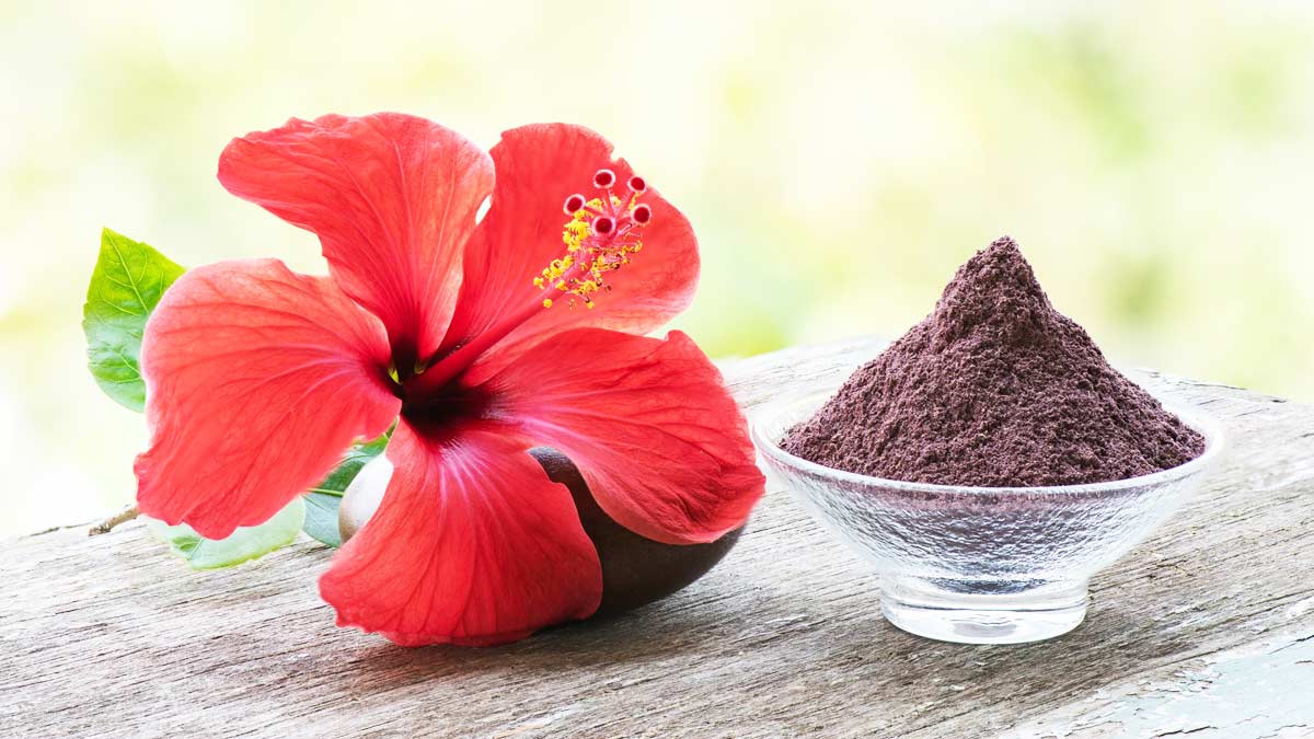 hibiscus-hair-mask-inside23