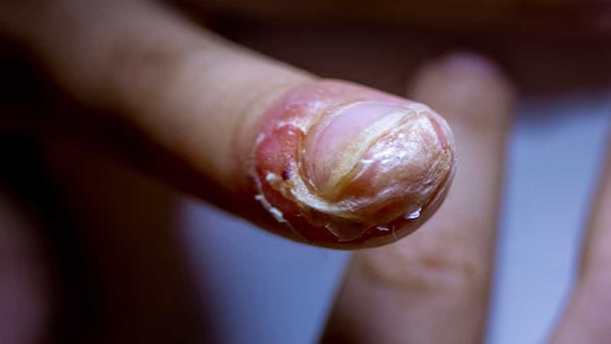 01 - 2025-01-07T004434.100