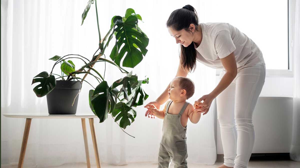 01 - 2025-01-07T132653.396