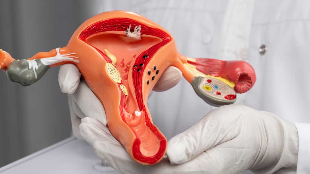 01 - 2025-01-07T174442.851