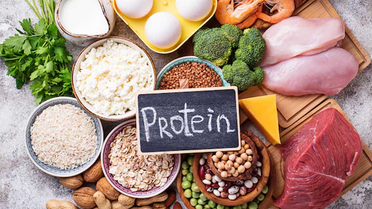 how-much-protein-is-needed-to-build-muscles-in