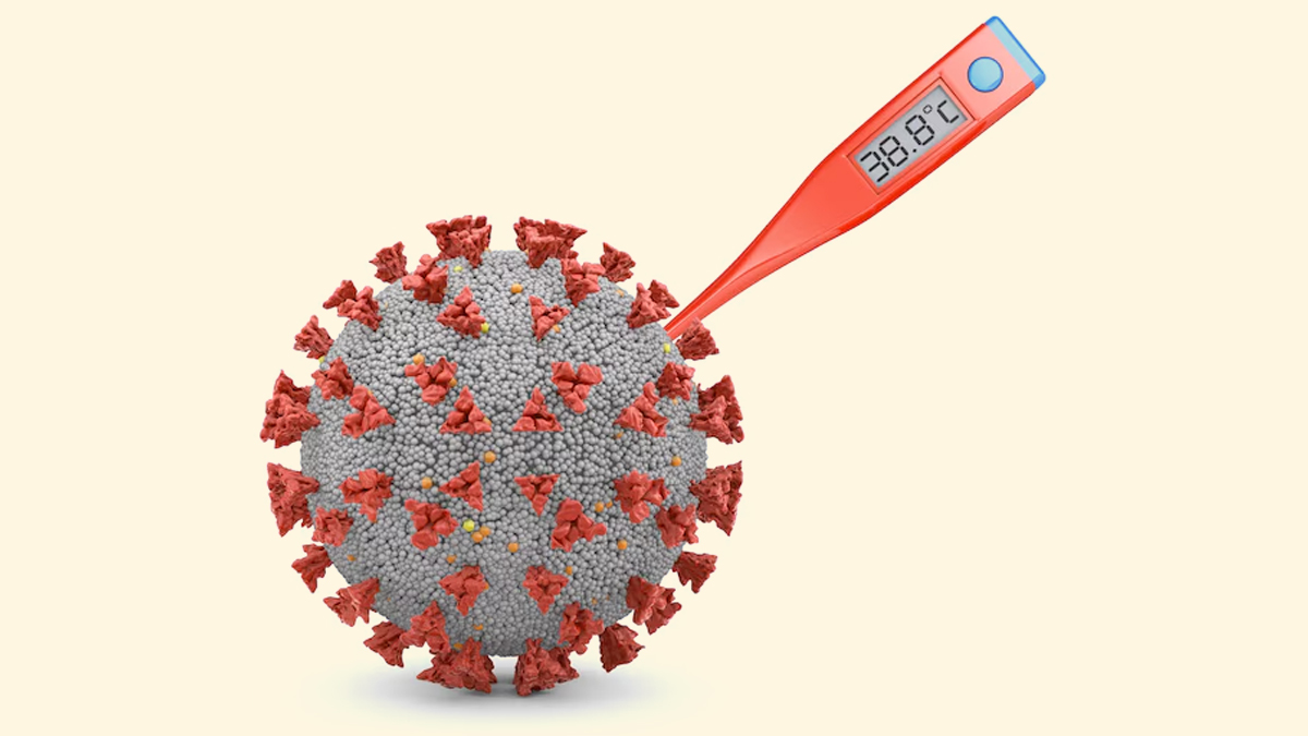 rabbit-fever-causes-inside