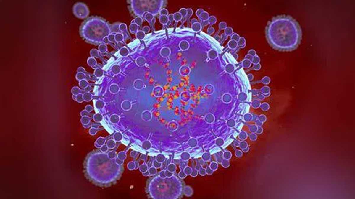 Myths-and-Facts-About-HMPV-inside