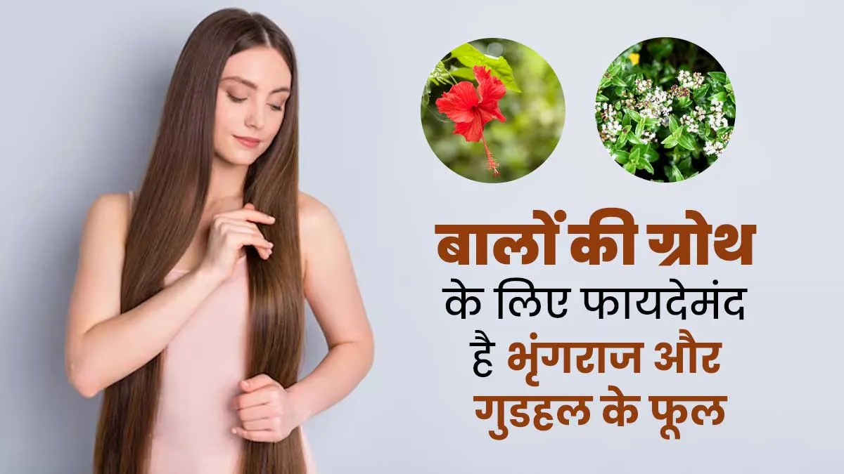 बालों की ग्रोथ के लिए फायदेमंद है भृंगराज और गुड़हल के फूल, जानें इस्तेमाल का तरीका