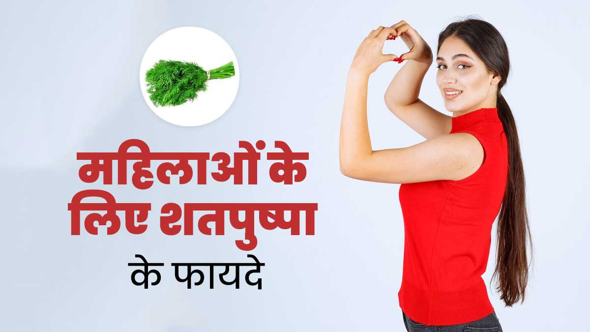 महिलाओं के लिए बहुत फायदेमंद होता है शतपुष्पा, इन 5 परेशानियों से दिलाता है राहत