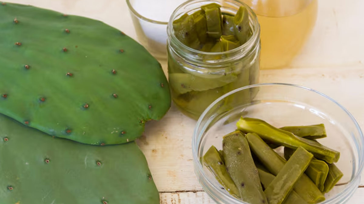 01 - 2025-01-09T160315.820