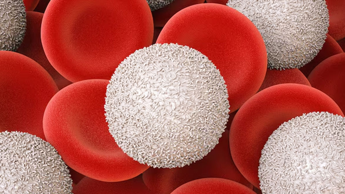 white-blood-cell-disorder