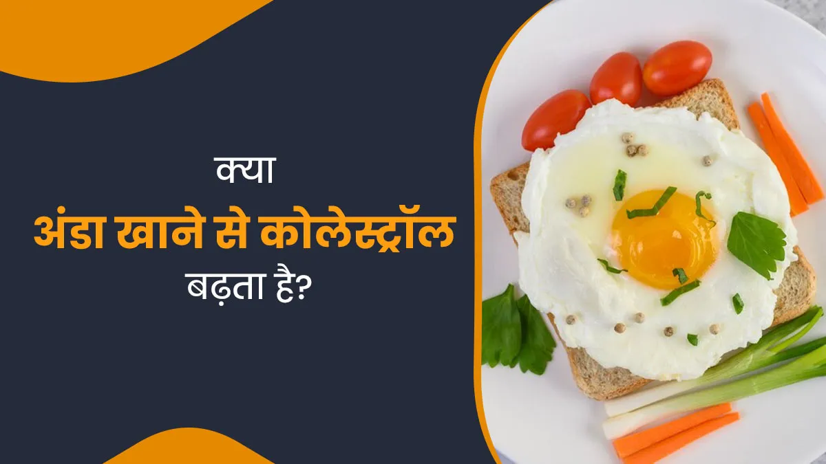 क्या अंडा खाने से कोलेस्ट्रॉल बढ़ता है? एक्सपर्ट से जानें
