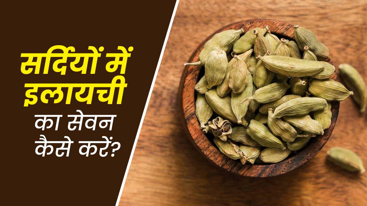 सर्दियों में इस तरह इस्तेमाल करें इलायची, सुस्ती और पेट में भारीपन जैसी समस्याएं रहेंगी दूर