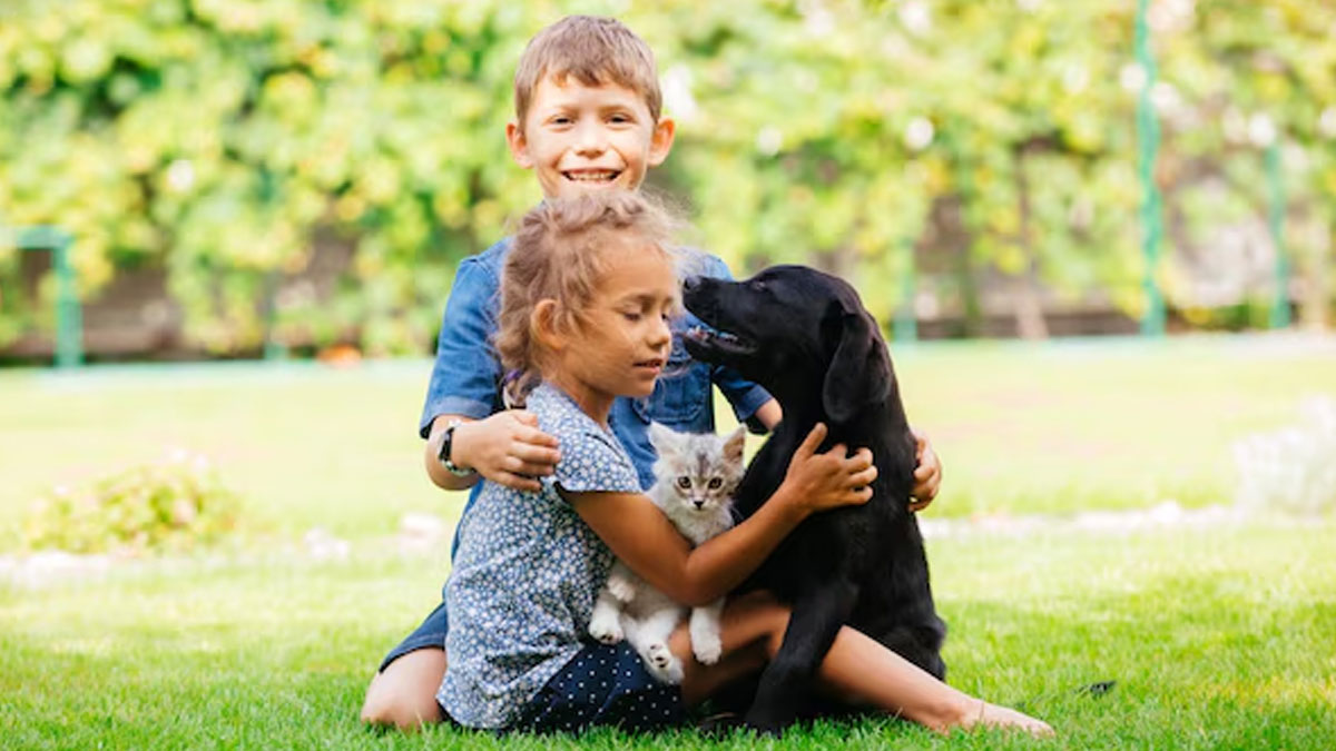 Pet Allergy In Children in Hindi symptoms-causes-of-pet-allergy-in-children-in