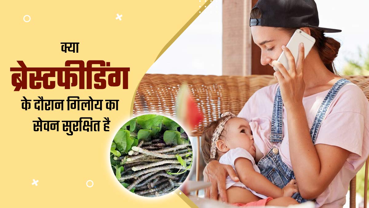 क्या ब्रेस्टफीडिंग के दौरान गिलोय का सेवन सुरक्षित है? बता रही हैं डॉ. चंचल शर्मा