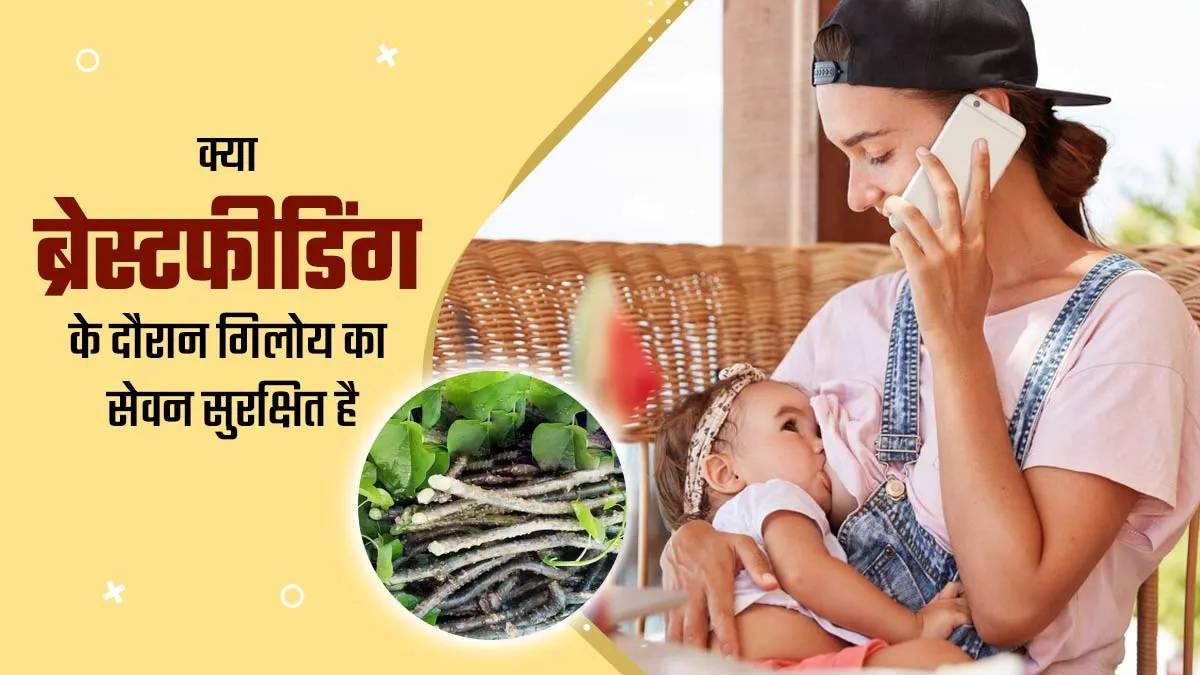 क्या ब्रेस्टफीडिंग के दौरान गिलोय का सेवन सुरक्षित है? बता रही हैं डॉ. चंचल शर्मा