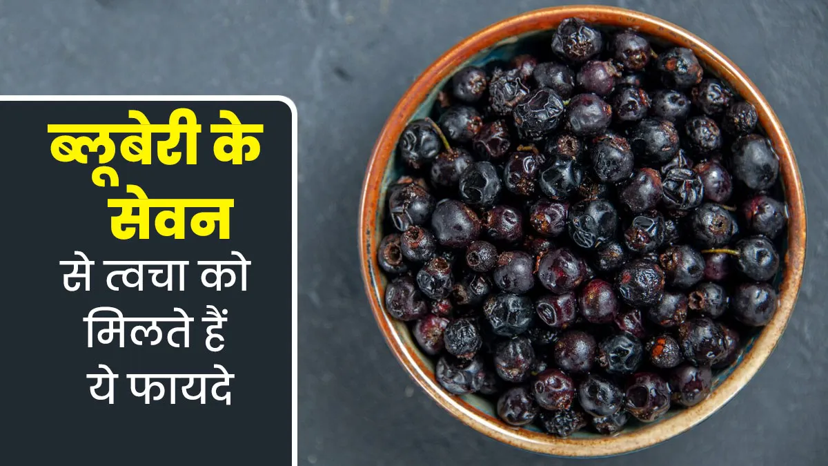ब्लूबेरी होती हैं एंटीऑक्सीडेंट्स से भरपूर, खाने से स्किन को मिलते हैं ये 6 फायदे