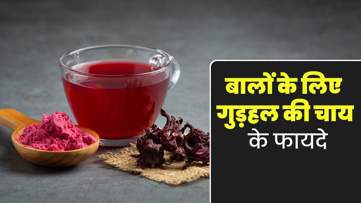 बालों से जुड़ी इन 5 समस्याओं में फायदेमंद है गुड़हल की चाय, जानें एक्सपर्ट से