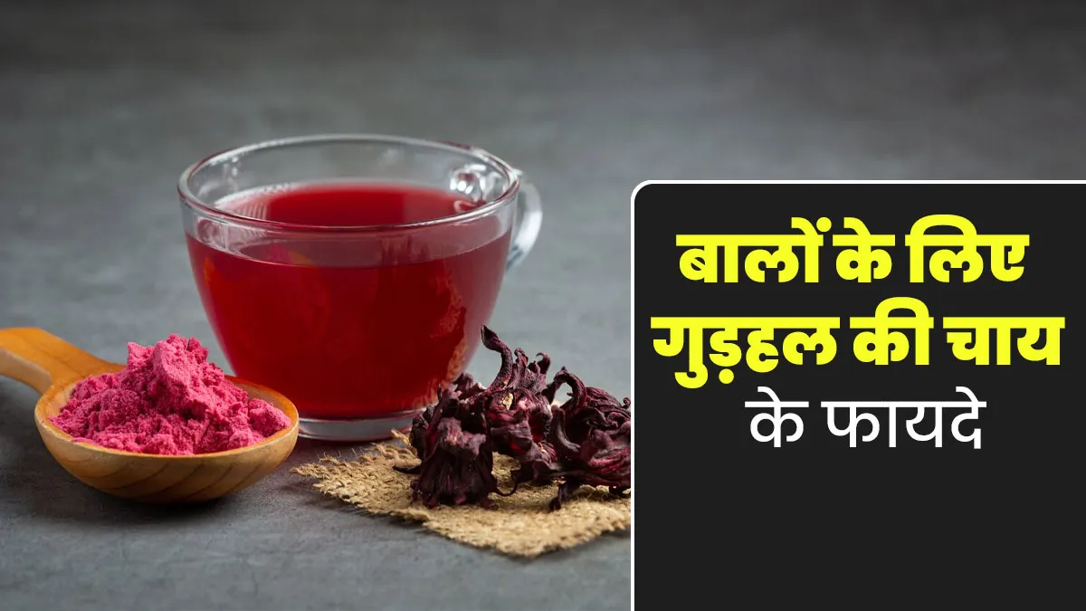 बालों से जुड़ी इन 5 समस्याओं में फायदेमंद है गुड़हल की चाय, जानें एक्सपर्ट से