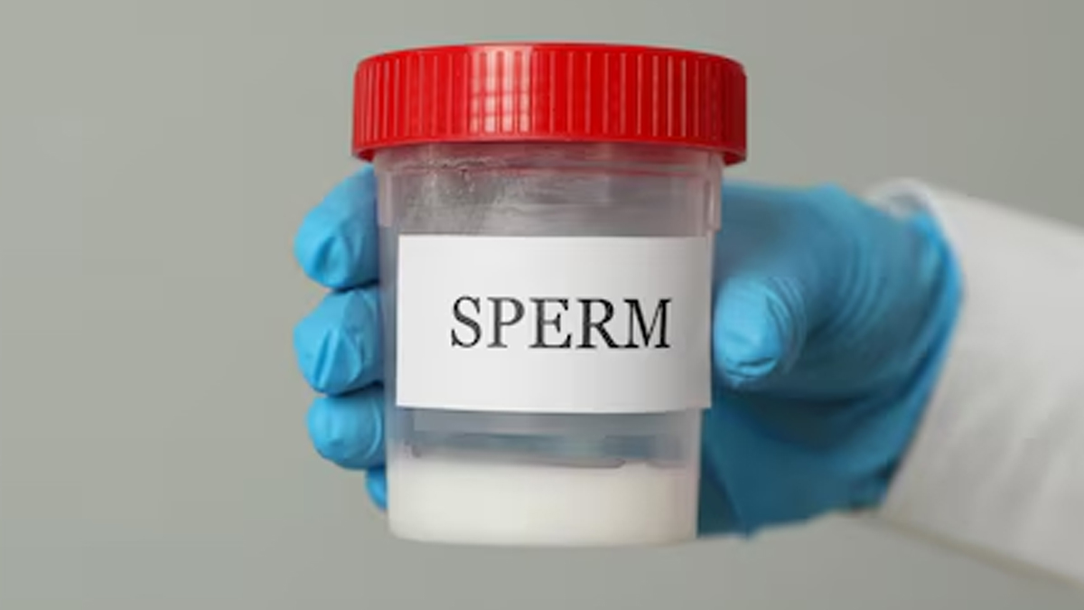 effects of too much sperm in the male body 1