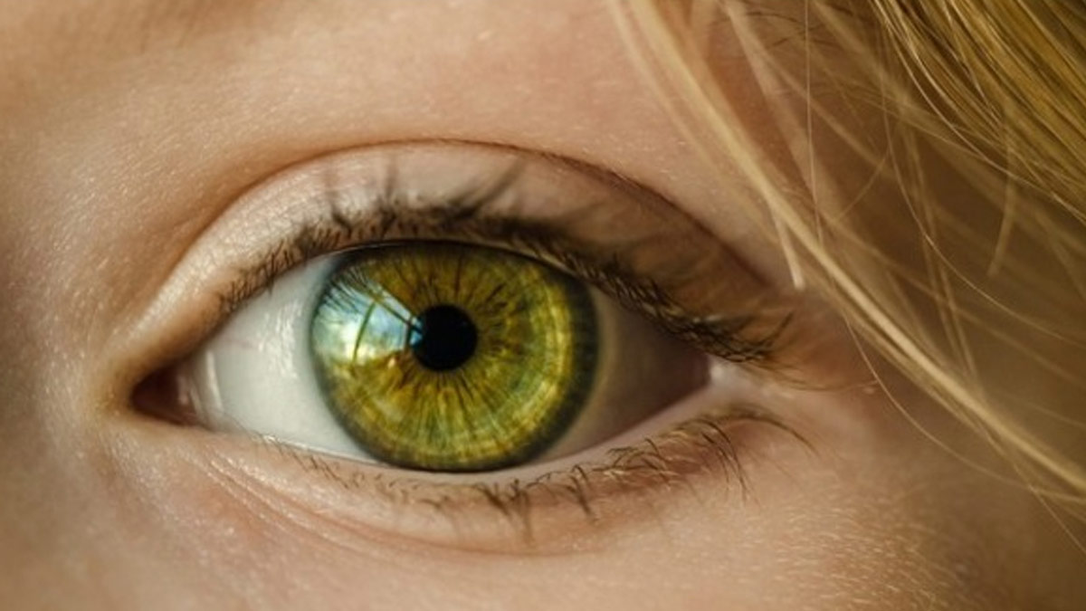 eye-ratina-inside2