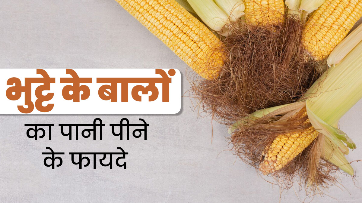 भुट्टे के बालों का पानी पीने से सेहत को मिलते हैं ये 5 फायदे, जानें इस्तेमाल का तरीका