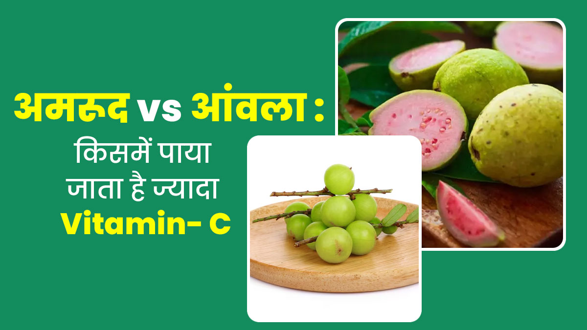 अमरूद या आंवला, किसमें पाया जाता है ज्यादा Vitamin C? जानें डाइटिशियन से