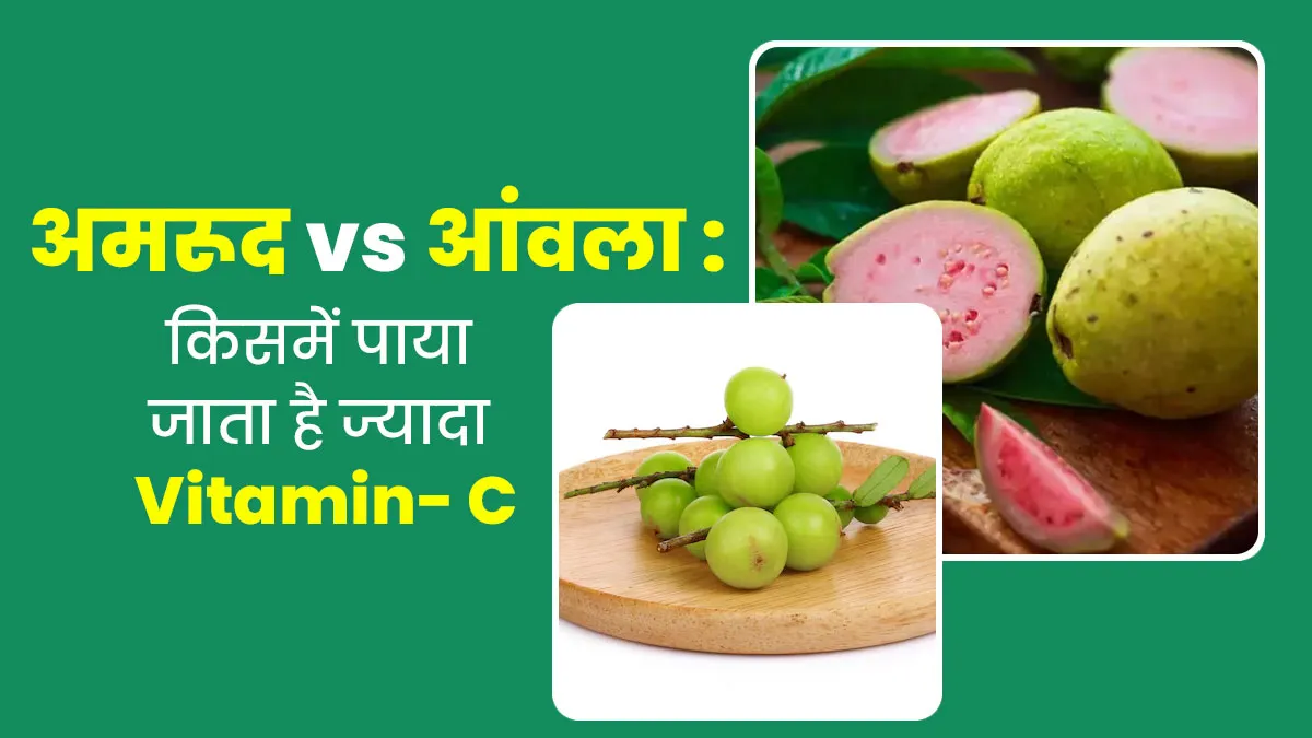 अमरूद या आंवला, किसमें पाया जाता है ज्यादा Vitamin C? जानें डाइटिशियन से