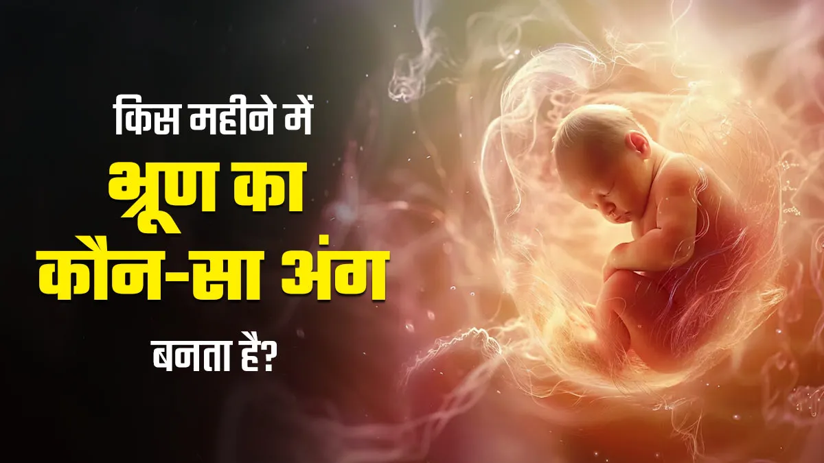 गर्भ में किस समय भ्रूण का कौन-सा अंग बनता है? डॉक्टर से जानें