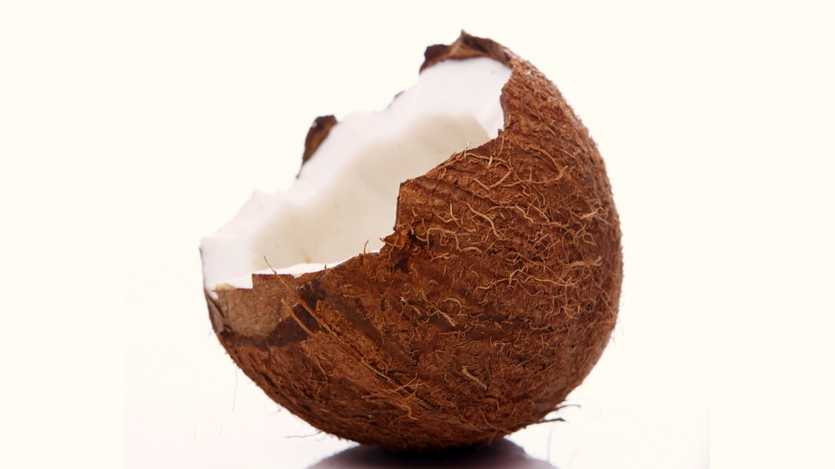 Benefits Of Coconut Flower in Pregnancy