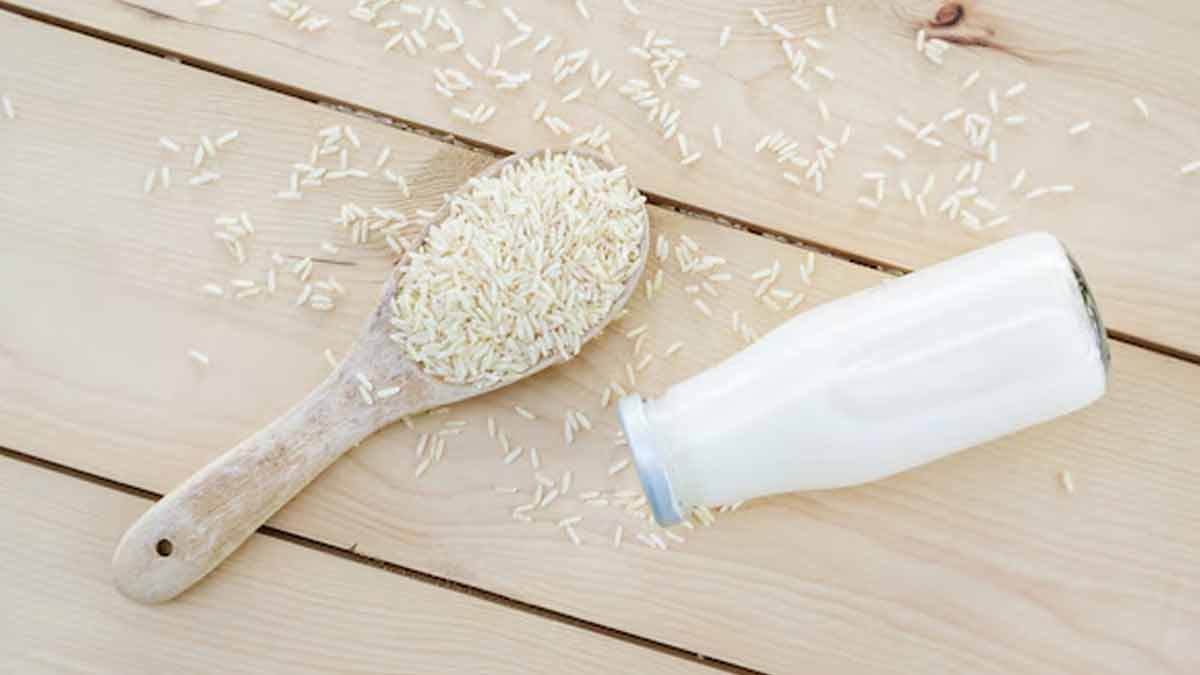 01 - 2025-01-24T163213.078