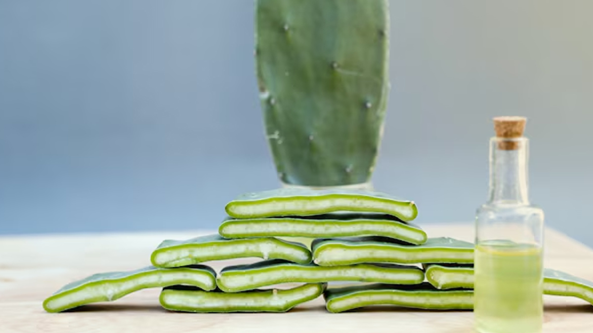 Cactus Gel For Skin Care