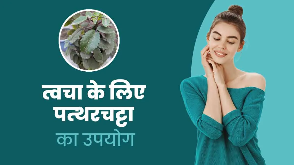 सेहत ही नहीं स्किन के लिए भी फायदेमंद है पत्थरचट्टा, जानें कैसे होता है इसका इस्तेमाल