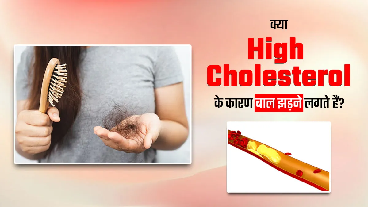क्या अचानक झड़ने लगे हैं बाल? कहीं हाई कोलेस्ट्रॉल तो नहीं कारण? जानें डॉक्टर से
