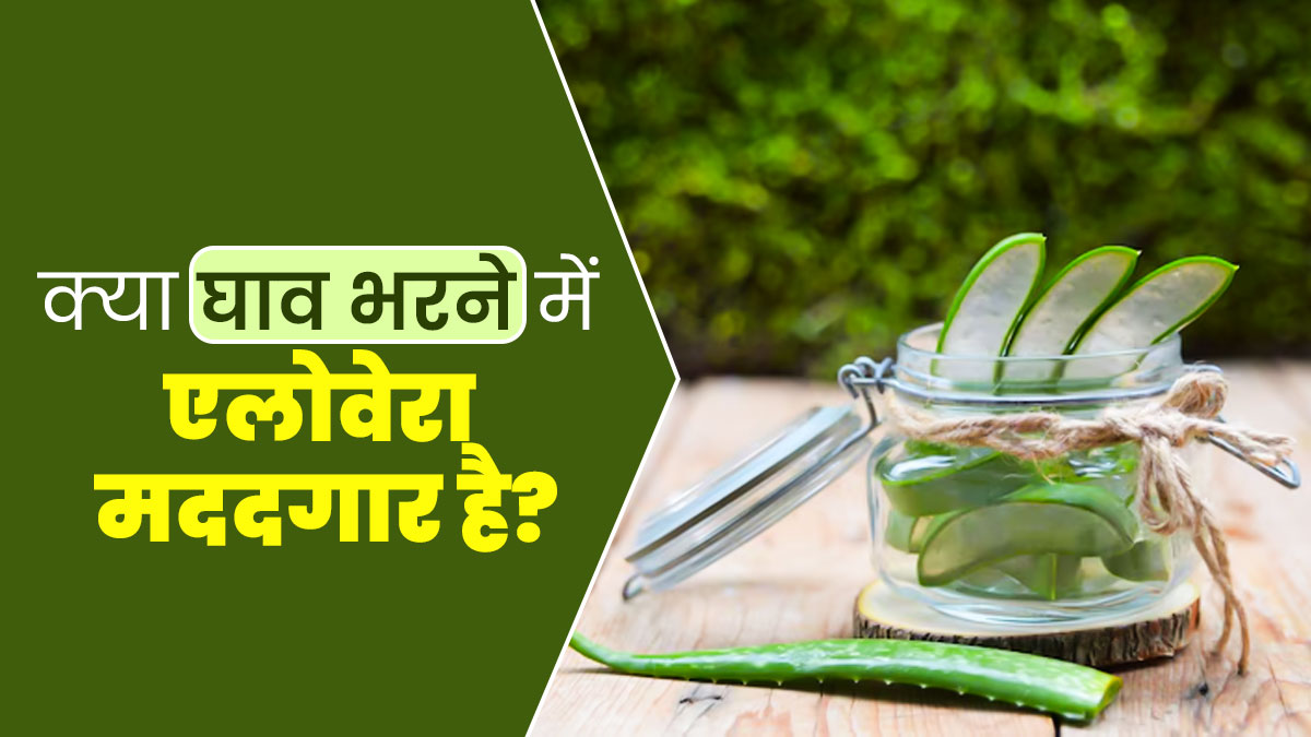 क्या एलोवेरा चोट का घाव भरने में मददगार है? जानें एक्सपर्ट से