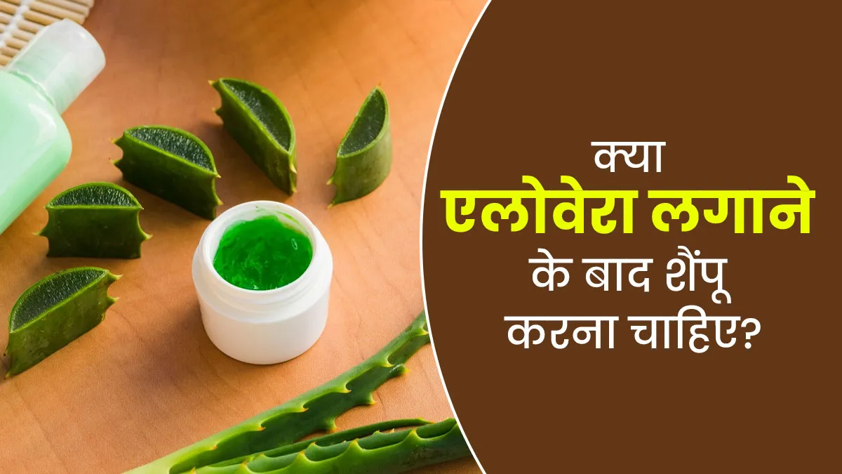 क्या एलोवेरा जेल लगाने के बाद बालों को शैंपू करना जरूरी है? जानें एक्सपर्ट से