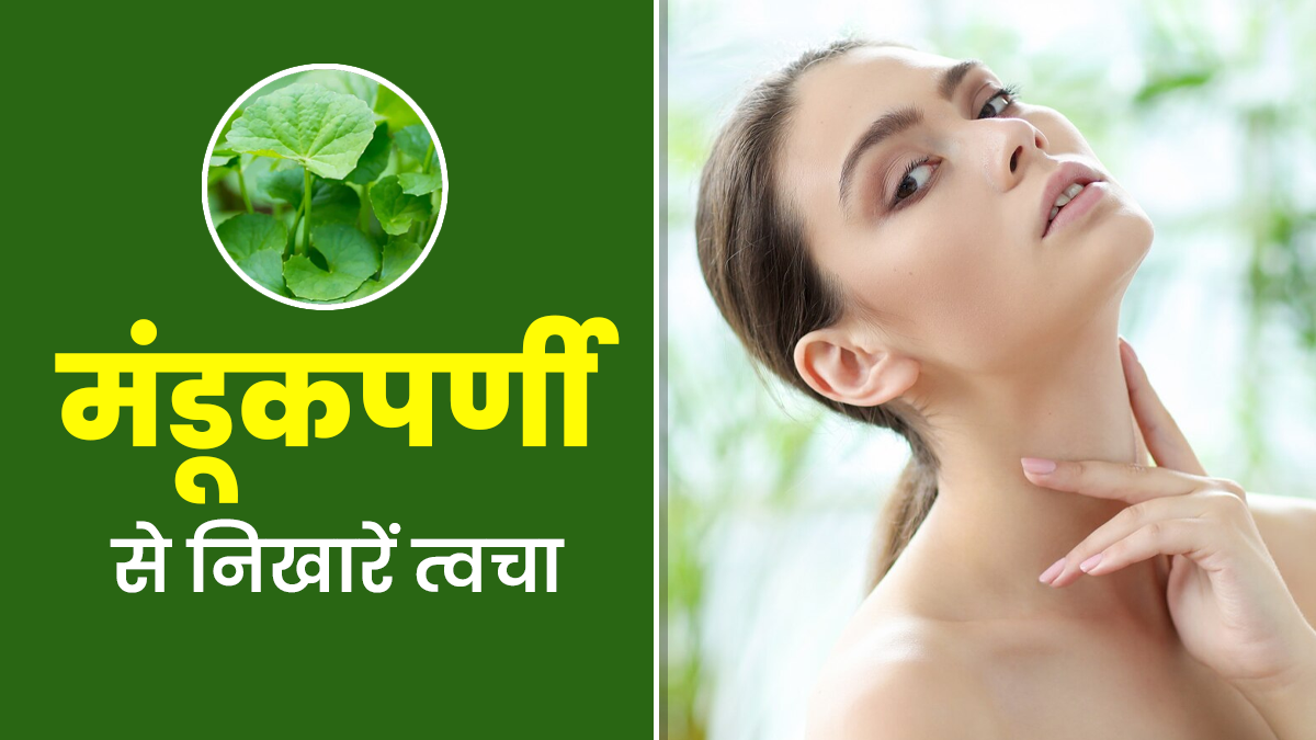 मंडूकपर्णी से पाएं बेदाग और जवां त्वचा! स्कार रिपेयर और रिजुवेनेशन के लिए ऐसे करें इस्तेमाल