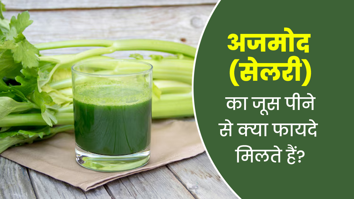 रोज एक ग्लास अजमोद (सेलरी) जूस पीने से सेहत को मिल सकते हैं खास फायदे, एक्सपर्ट से जानें