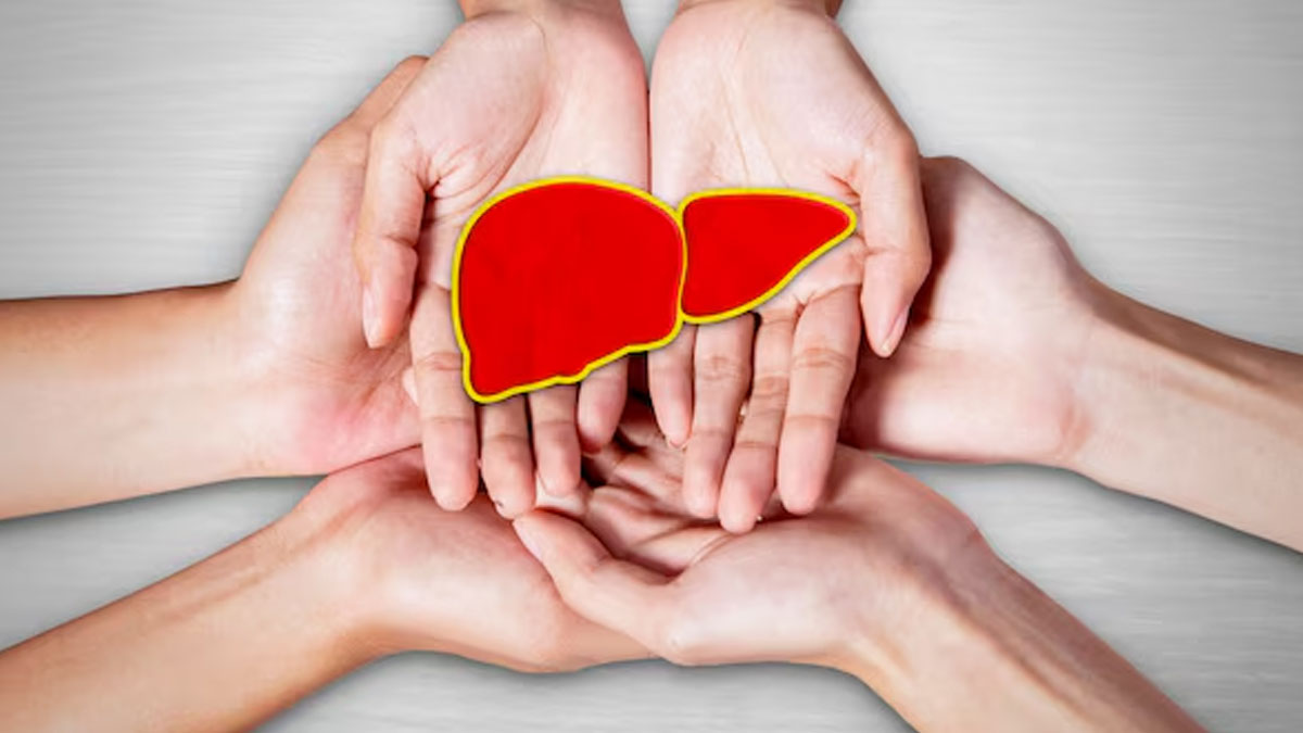 Hypothyroidism And Fatty Liver Connection
