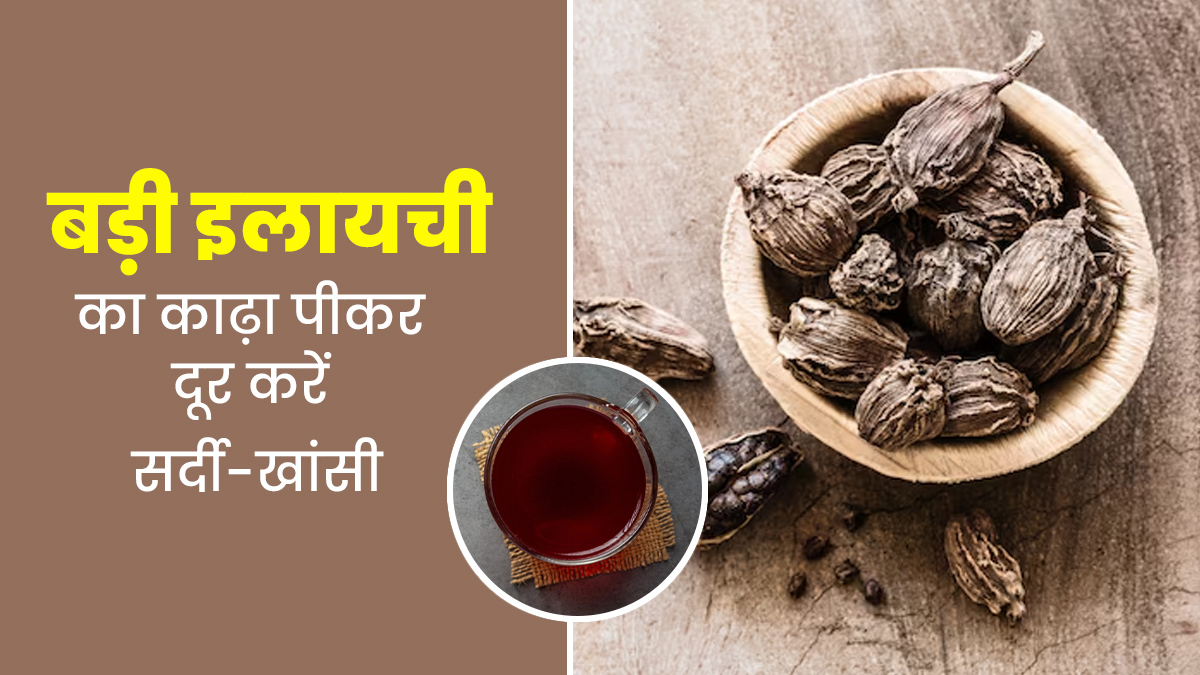 सर्दी-खांसी को दूर करने के लिए पिएं बड़ी इलायची से बना काढ़ा, जानें इसकी रेसिपी और फायदे
