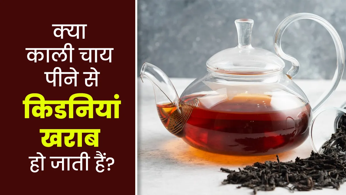 क्या वाकई काली चाय पीने से किडनियां खराब हो जाती हैं? डॉक्टर से जानें