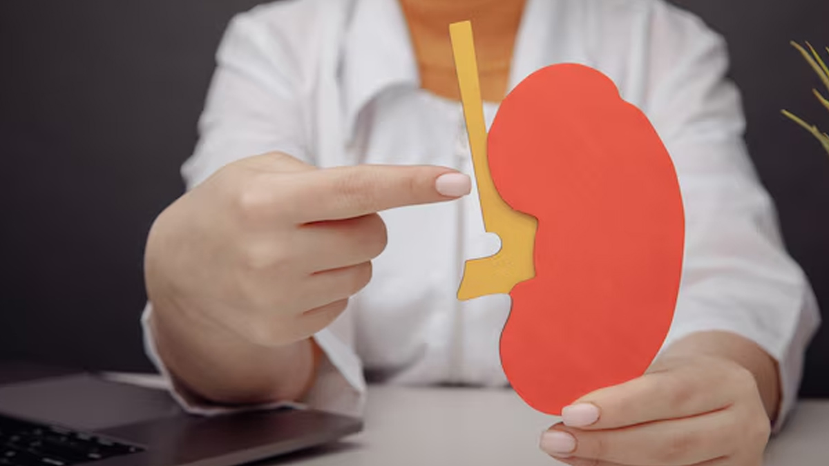 01 - 2025-01-30T080502.437